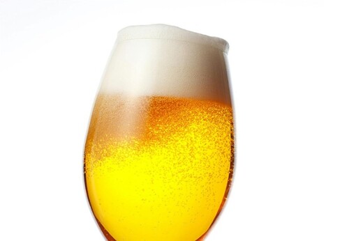 ジンジャービール 350ml 22本セット 生姜 缶ビール エールビール 22本セット