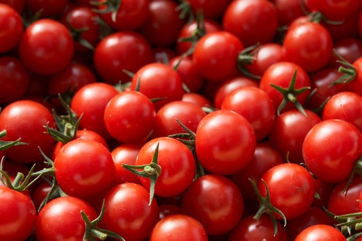 絶品 フルーツ ミニトマト 約1kg 四万十川源流域 まちだ農園 フルーツトマト ふるーつとまと とまと トマト 甘い 濃厚 美味しい 箱詰め 糖度8%～12% 高知