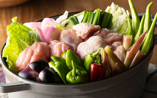 【訳あり】四万十鶏 もも肉 2kg ( 2kg × 1パック ) 生活応援返礼品 鶏肉 とり肉 国産 冷凍 訳ありもも肉 2kg