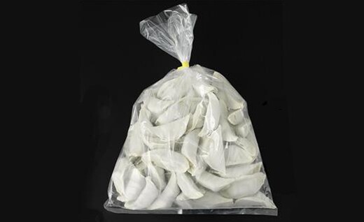 冷凍生姜餃子 100個入 1袋 冷凍