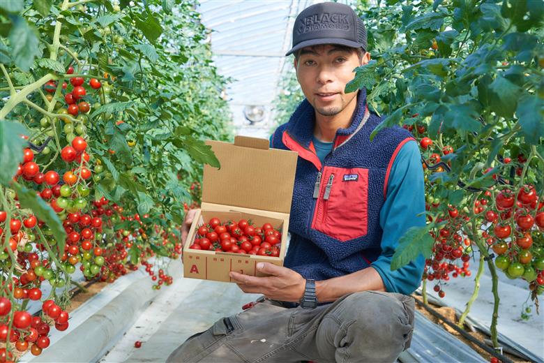 【定期便全5回 2月～6月毎月お届け】四万十川源流域で育まれた 絶品 フルーツミニトマト 1kg フルーツトマト ふるーつとまと とまと トマト 甘い 濃厚 美味しい 箱詰め 糖度8%～12% 高知 5回コース