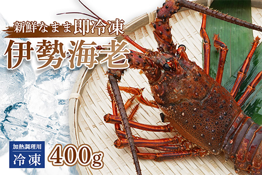 伊勢海老 ( 冷凍 ) お味噌汁用 約 400g エビ えび 家庭用 訳あり 400g