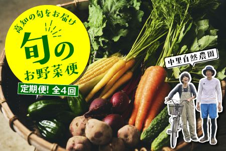 【定期便全4回】高知の旬をお届け「中里自然農園・旬のお野菜便」 定期便 野菜 セット 野菜の詰め合わせ 8～10種類 高知 新鮮 農薬不使用 化学肥料不使用 安心 旬 野菜 フレッシュ
