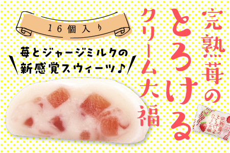 完熟苺 の とろける クリーム 大福 ( 16個入り ) 大福 いちご イチゴ クリーム お菓子 甘い とろける スイーツ 16個入り