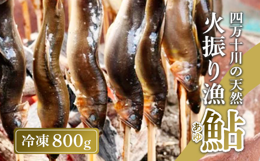 四万十川上流の天然鮎 新もの冷凍 火振り漁鮎 800g ( 冷凍 4～12尾 ) 鮎 あゆ アユ 川魚 高知県 四万十 天然 冷凍 800g