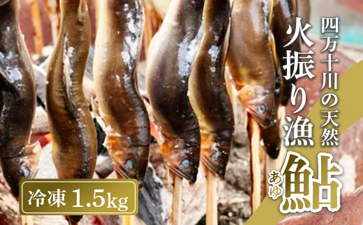 四万十川上流の天然鮎 新もの冷凍 火振り漁鮎 1.5kg ( 冷凍 5～18尾 ) 鮎 あゆ アユ 川魚 高知県 四万十 天然 冷凍 1.5kg