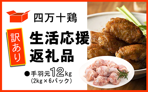 【訳あり】四万十鶏 手羽元 12kg ( 2kg × 6パック ) 生活応援返礼品 鶏肉 とり肉 国産 冷凍 訳あり手羽元 12kg