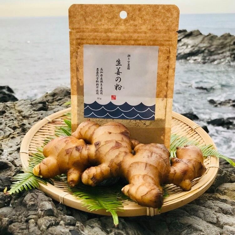 生姜の粉 ・ 乾燥パウダー 10g × 5袋 セット ( 自然栽培 農薬 化学肥料不使用 高知県 )
