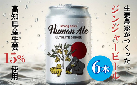 ジンジャービール 350ml 6本セット 生姜 缶ビール エールビール 6本セット