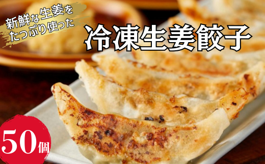 冷凍生姜餃子 50個入 1袋 冷凍