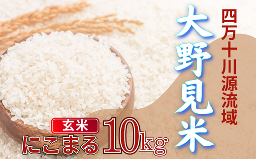 大野見米 にこまる 玄米 10kg お米 米 四万十 高知産 古谷農園