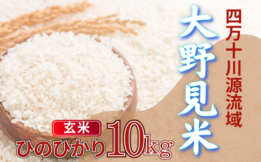 大野見米 ヒノヒカリ 玄米 10kg お米 米 四万十 高知産 古谷農園