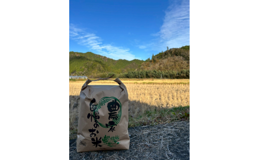 大野見米 (ブレンド米) 5kg 玄米 香り米 お米 米 四万十 高知産