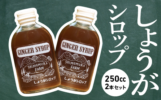 【 農家手作り 】 中土佐町産 しょうがシロップ ２本セット レシピ付き しょうが 生姜 農薬不使用 ジンジャーシロップ ジンジャーエール おすすめ 高知県