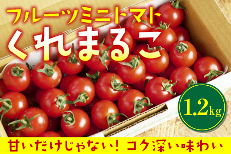 フルーツミニトマト 『 くれまるこ 』 1.2kg フルーツトマト ふるーつとまと とまと トマト 甘い 濃厚 美味しい 箱詰め 高知 久礼 宇井農園