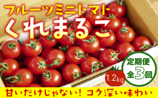 [定期便全3回 1月・3月・6月にお届け] フルーツミニトマト 『 くれまるこ 』 1.2kg フルーツトマト ふるーつとまと とまと トマト 甘い 濃厚 美味しい 箱詰め 高知 久礼 宇井農園