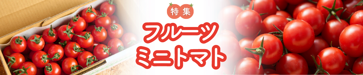 ミニトマト特集