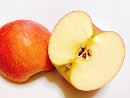 りんご狩り りんご収穫体験 + 生ジュース搾り体験 土本観光果樹園 お土産付 高知で果物狩り