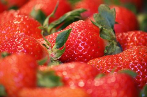 ＜佐川のフルーツ・野菜 定期便（全５回）＞いちご 冷凍ブルーベリー フルーツトマト 梨 夢甘栗