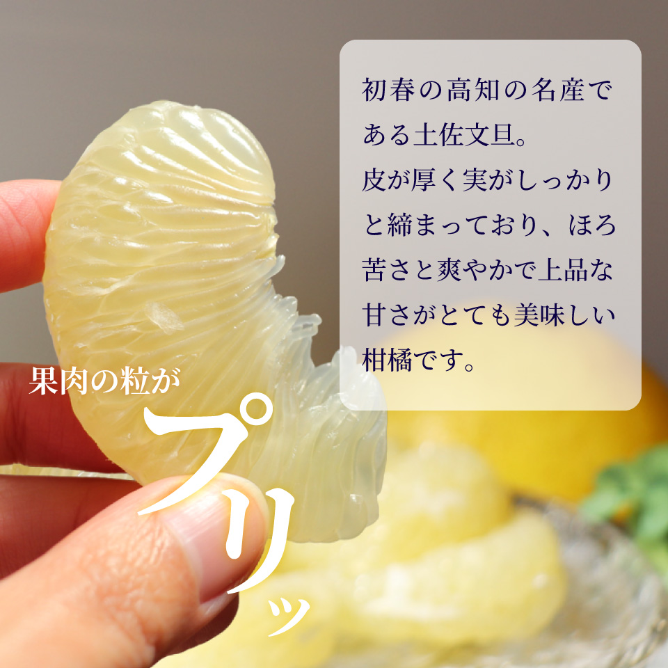 土佐文旦 【5kg】 サイズ混合 ＜2025年2月中旬頃より発送予定＞