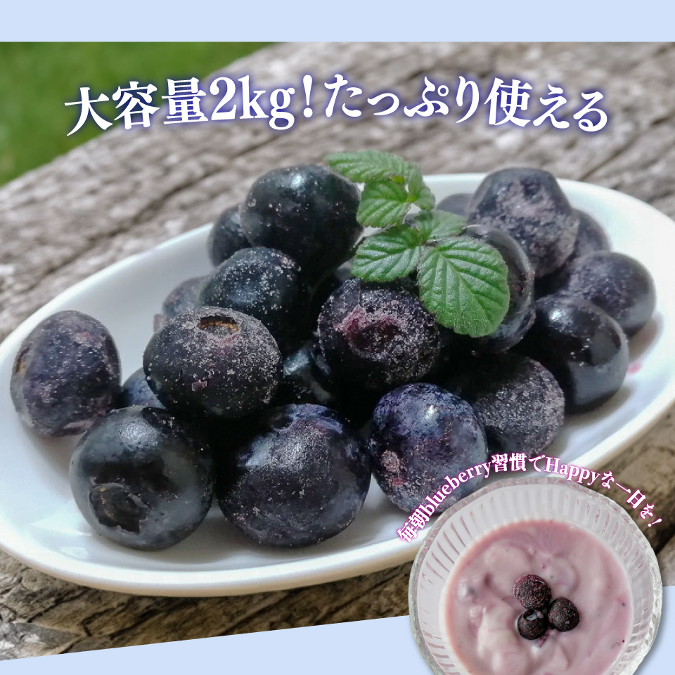 【ブルーベリー（冷凍）2kg】　＜発送まで最大で４～６ヶ月程度お待たせする事があります＞