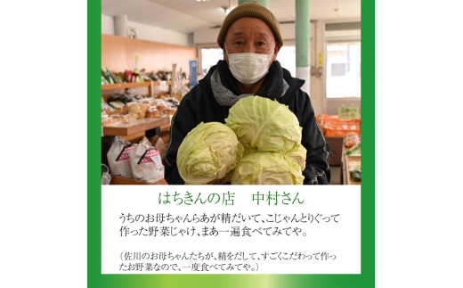 はちきんの店 野菜 セット 7~10品 野菜詰め合わせ 詰合せ 高知の野菜 旬の野菜