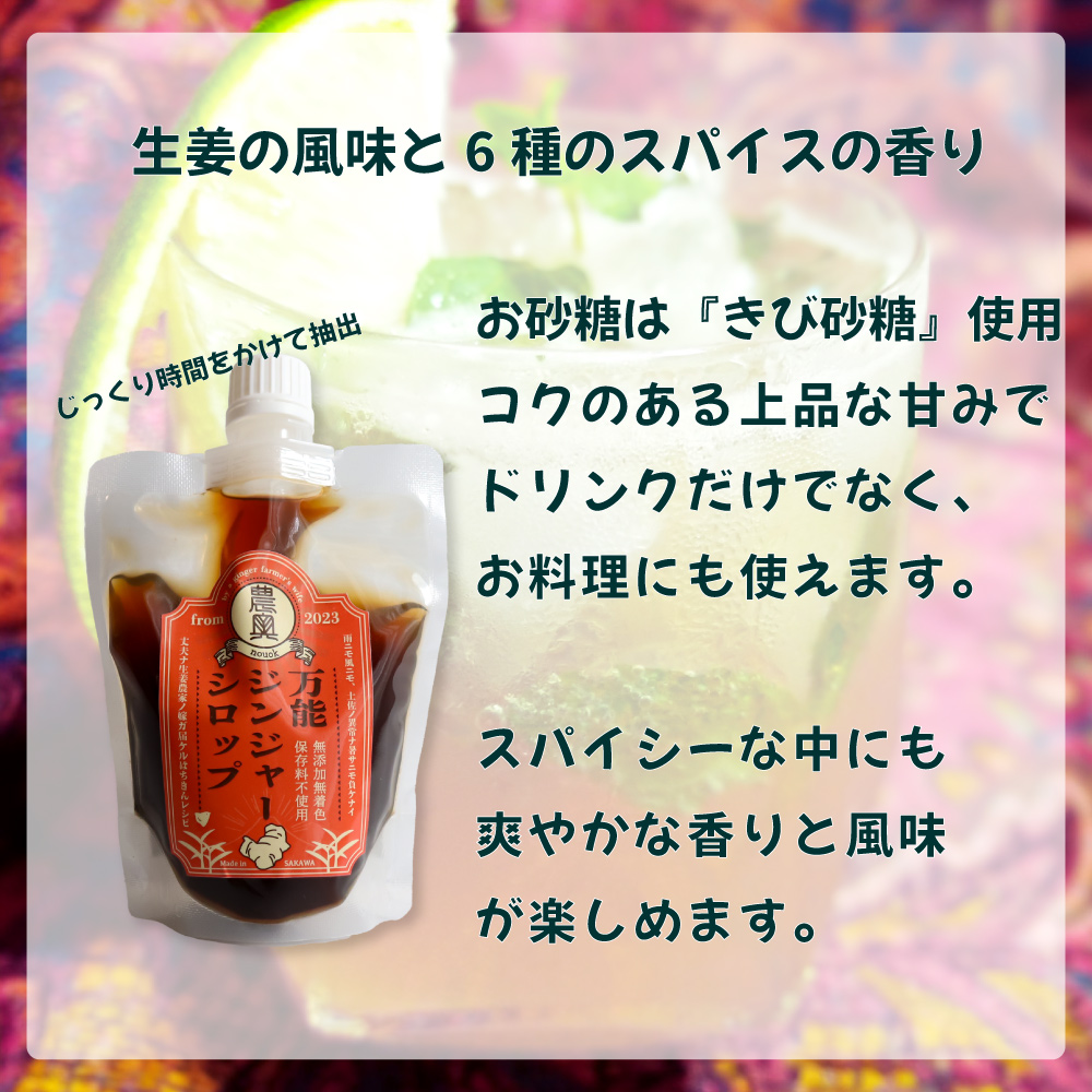 【佃煮2袋・シロップ1個】農家の嫁の生姜佃煮1袋70g ジンジャーシロップ200ml クラフトジンジャー 希釈 ごはんのお供 もの大賞2024　おすすめ商品（A）
