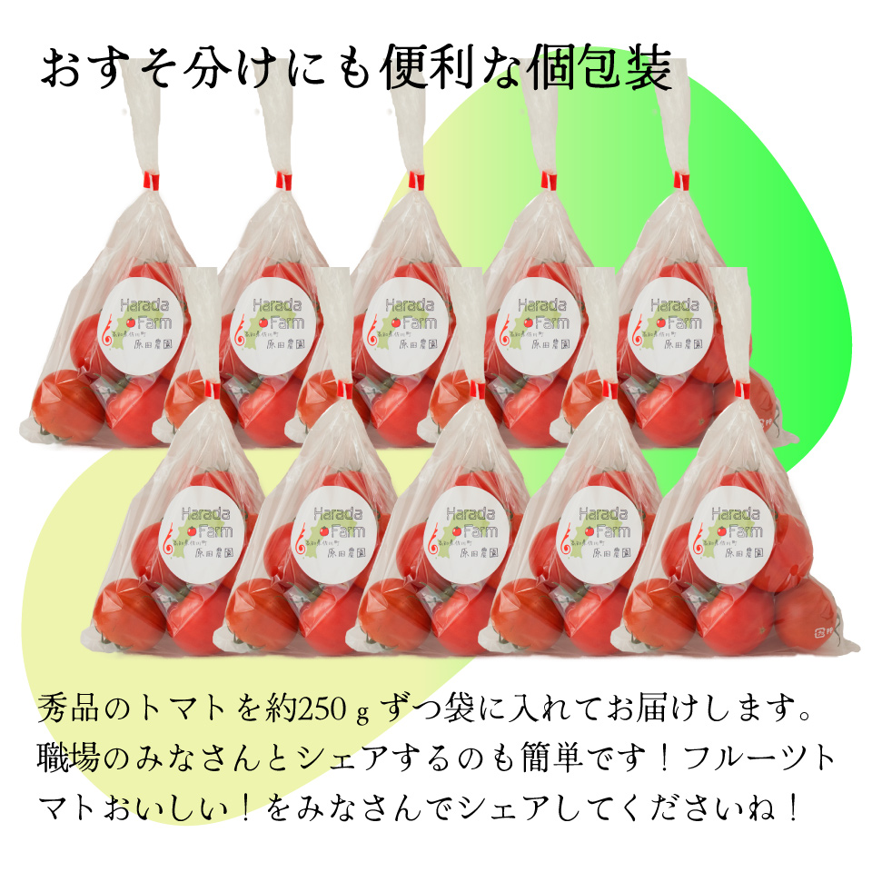 【12月下旬～5月頃発送】＜秀品 A品 フルーツトマト 原田農園 約2.5kg 個包装 1袋250g×10袋＞ 桃太郎 高知県 佐川町　＜2025年12月下旬頃より順次発送＞