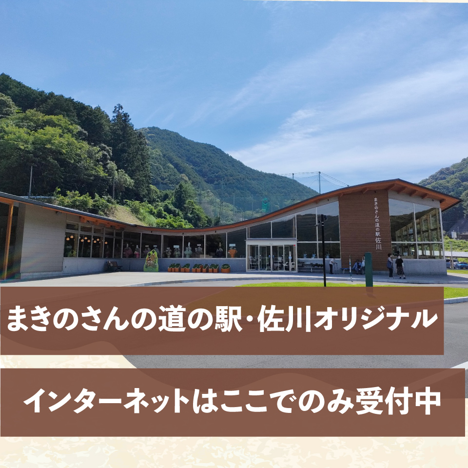 クラフトビール【さくらエール】330ml×3本 TOSACO オリジナル ビール 国産 高知カンパーニュブルワリー