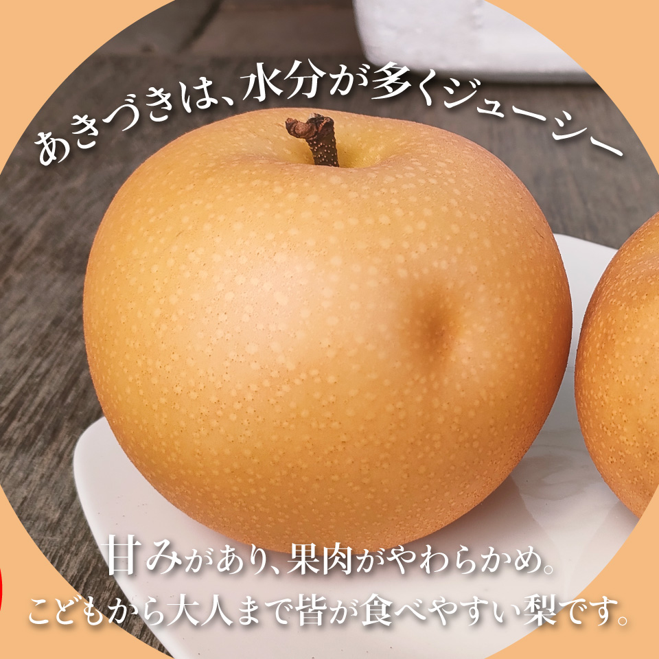 ＜2026年9月中旬頃より発送予定＞訳あり 規格外 あきづき梨 3kg（4～7玉）