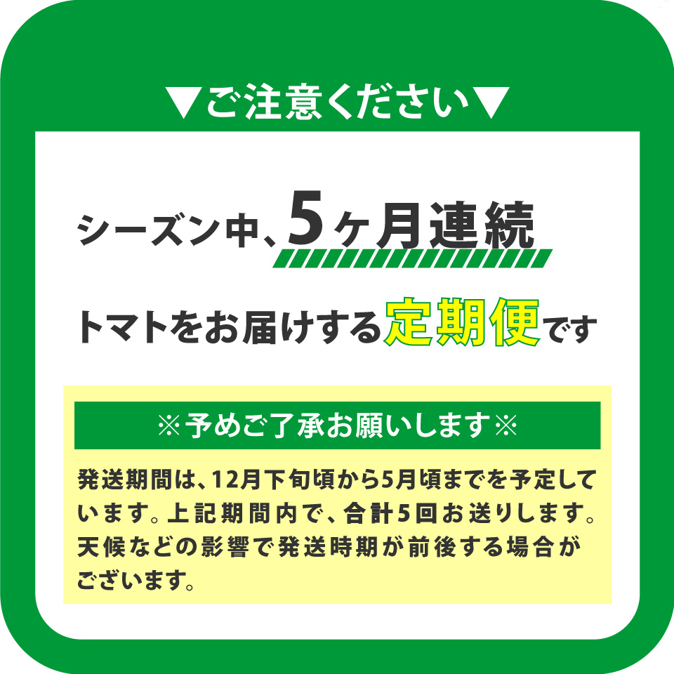 【5回定期便】フルーツトマト 原田農園 約1,800g 大箱（12月下旬～5月頃発送）＜2025年12月下旬頃より順次発送＞