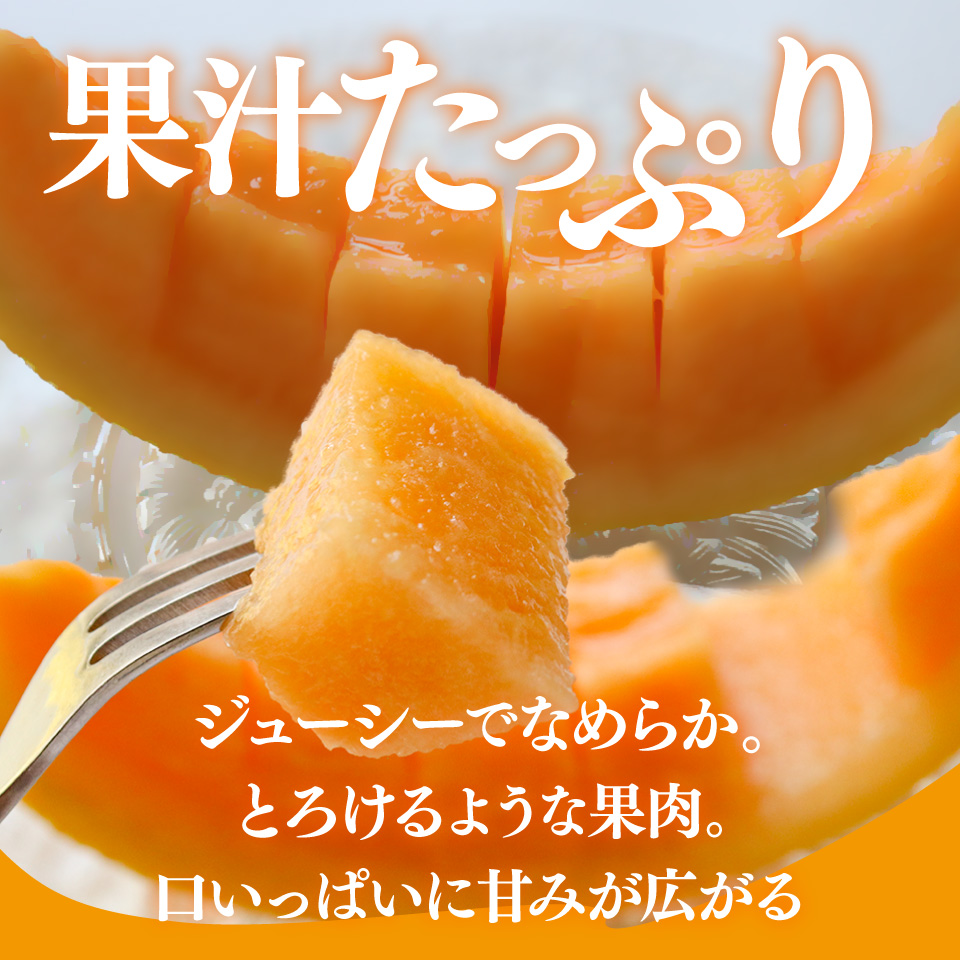 ＜2026年7月中旬頃～8月中旬ごろ発送予定）＞【メロン 2玉 合計約3kg】 サンライズメロン 赤肉 めろん 赤 果物 フルーツ 果実 家庭用 旬 ちょっと訳あり 高知県 佐川町 はちきんの店