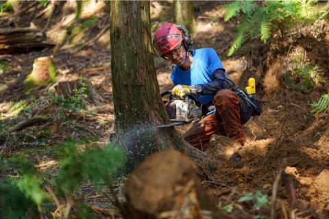 【訳あり品】乾燥 薪 15kg まきのまき 針葉樹 野外用 キャンプ 焚火 まき ヒノキ・杉 火付け用に最適