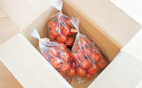 【2026年4月頃～8月頃発送】＜約1.2kg×3回 定期便＞訳あり アイメック フルティカ トマト ましまファーム ミニトマト フルーツトマト ワケあり 規格外