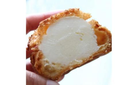 ぢちちのシューアイス 10個入　吉本乳業 吉本牛乳 おかしの家Repos(ルポ) 個包装 プレゼント 菓子職人手作り