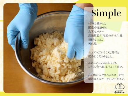 幸せのモーニングスコーン scone 5種10個 内容お任せ プレーン チョコ 抹茶くるみ 柑橘系 季節限定フレーバー各2個 ギフト 個包装 冷凍発送 グーテ