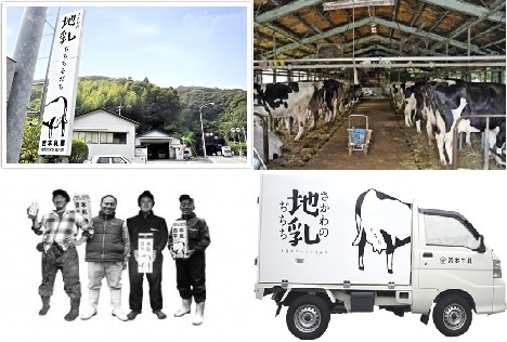 <12個>吉本牛乳 最中アイス【高知アイス】モナカ もなか 国産原料 滋賀 羽二重餅