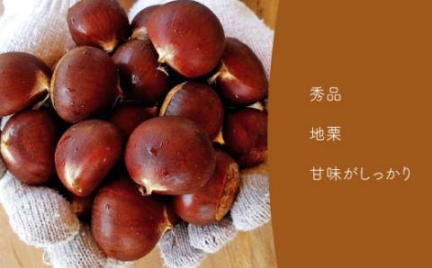 【2026年10月中旬以降発送】夢甘栗 秀品 1kg　高級生栗 地栗 国産 和栗 くり蔵