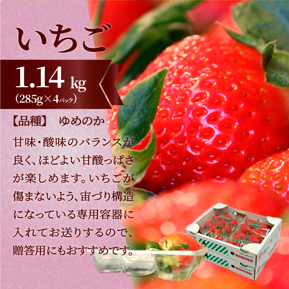 （全３回）佐川町産フルーツ定期便R5 いちご 文旦 梨
