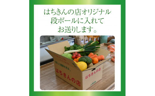 はちきんの店 野菜 セット 7~10品 野菜詰め合わせ 詰合せ 高知の野菜 旬の野菜