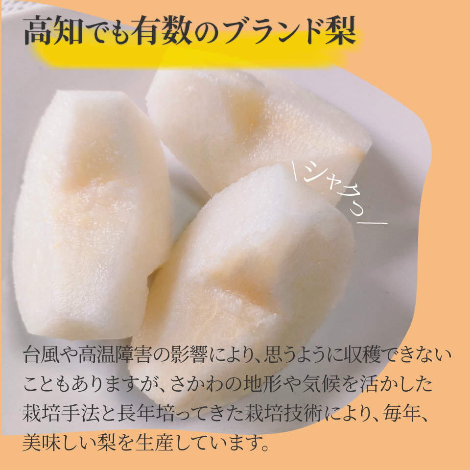 ＜2026年9月中旬頃より発送予定＞訳あり 規格外 あきづき梨 3kg（4～7玉）