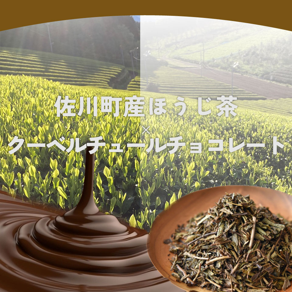 ＜半熟ショコラケーキ ほうじ茶＞焼き菓子 お茶 ギフト プレゼント 化粧箱入 グルテンフリー 職人手作り パティシエ 着色料・保存料不使用