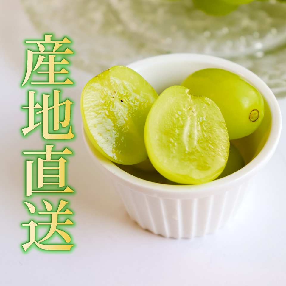 ＜シャインマスカット＞先行予約 ぶどう grape fruit フレッシュ 旬 果物 くだもの 高知県 佐川町産＜2025年8月下旬以降に発送＞