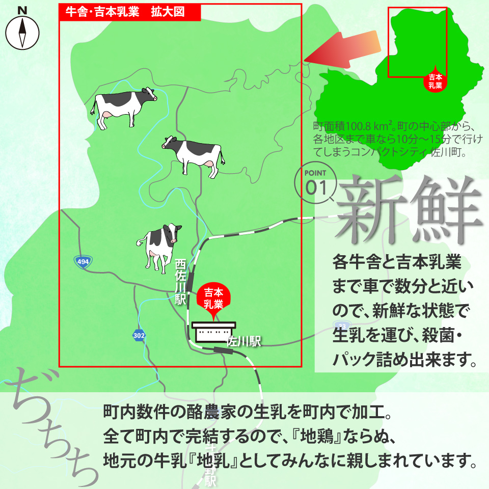 ＜（1年間定期便／52週連続発送）吉本牛乳（さかわの地乳）1L×5本 合計260本セット＞牛乳定期便 高知県 佐川町 成分無調整 ぢちち ★★本数・間隔の変更はできません★★