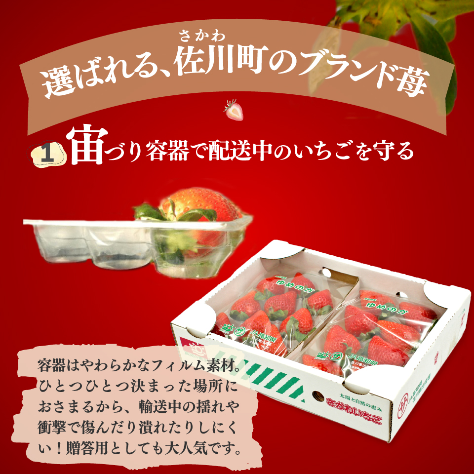 ＜2026年1月頃～3月頃発送（予定）＞【ゆめのか 285g×2パック】 いちご 苺 イチゴ  ストロベリー 佐川町産 贈答 ギフト 秀品