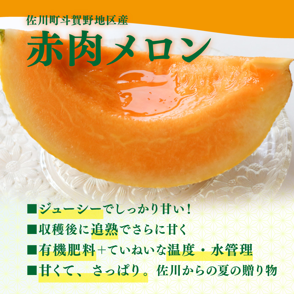 ＜2026年7月中旬頃～8月中旬ごろ発送予定）＞【メロン 2玉 合計約3kg】 サンライズメロン 赤肉 めろん 赤 果物 フルーツ 果実 家庭用 旬 ちょっと訳あり 高知県 佐川町 はちきんの店