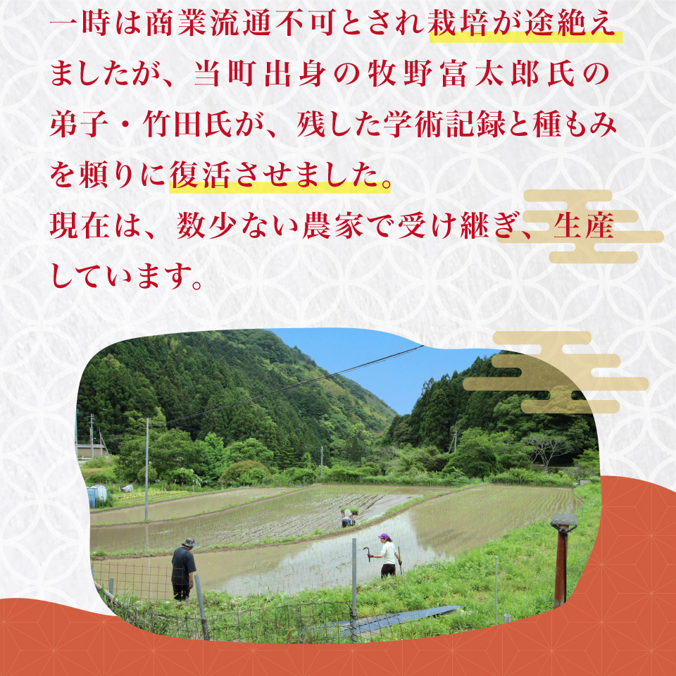 ＜薫る神様のお米 奉納米 縁起米 想い札付き 3合×3袋（桐箱入）＞ 贈答用 受験生や大切な人への贈り物に◎ 希少米 香り米 奇跡の復活 ふさなり 栽培期間中、化学農薬化学肥料不使用