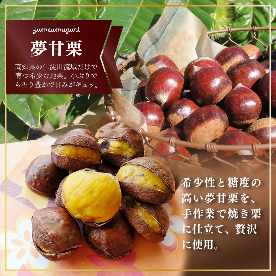 クラフトビール【チョコマロンエール】330ml×3本 TOSACO 期間限定 オリジナル ビール 純ココア 夢甘栗 焼栗 国産 高知カンパーニュブルワリー【冷蔵】