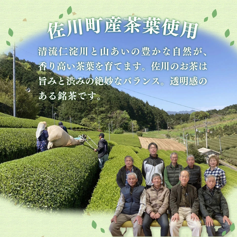 土佐の紅茶 無糖 500ml×24本 1ケース ペットボトル PET お茶 土佐茶 高知 JA高知県 佐川町産茶葉使用