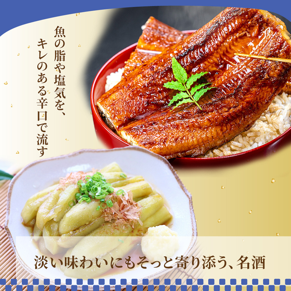 船中八策 呑み比べ 720ml2本 「船中八策 純米・船中八策 生もと」司牡丹酒造 【特別純米酒】 父の日 母の日 高知 贈答 ギフト プレゼント 辛口 食中酒 セット 超辛口 ぬる燗が特におすすめ 日本名門酒会限定酒 生酛